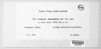 Image Associated With the Occurence